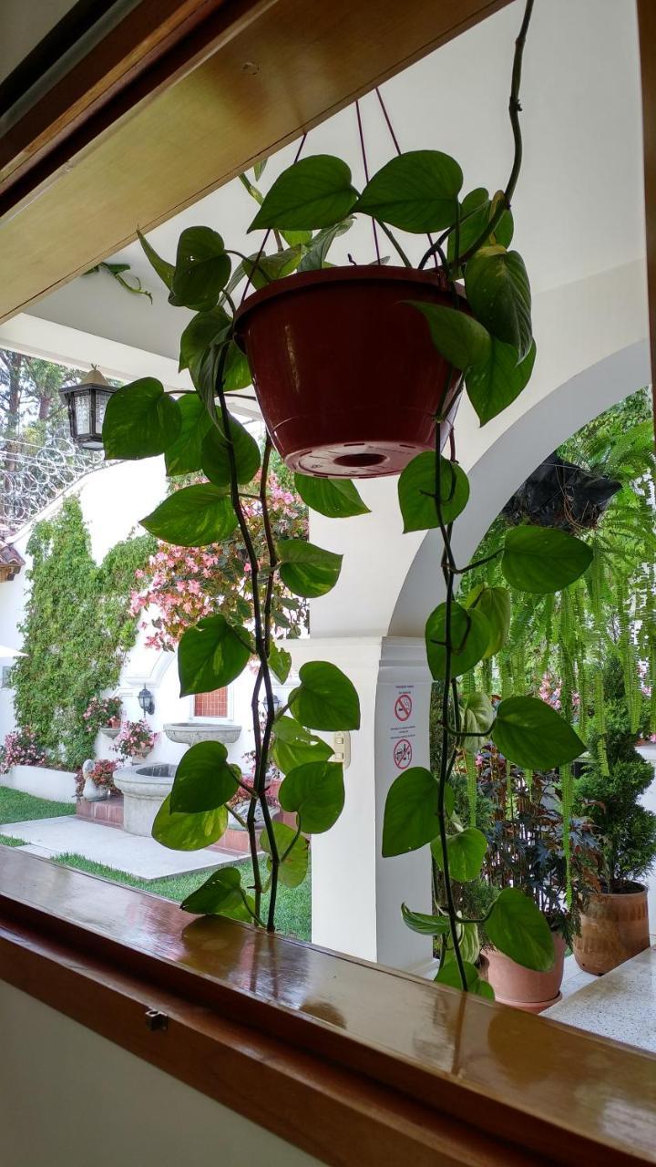 Ixkanul Antigua Hotel Zewnętrze zdjęcie